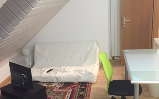 Furnished room for rent Crissier